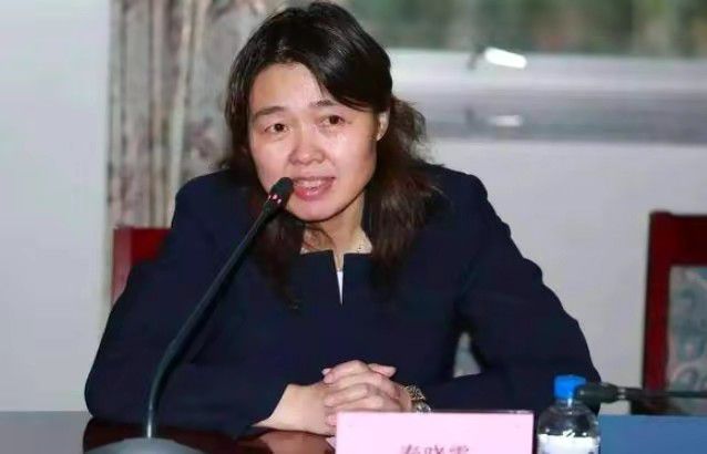 激情性插