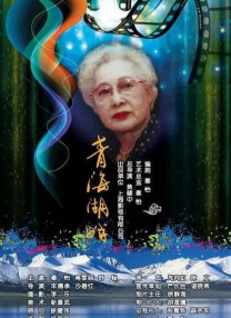 国内一区二区三区精品视频